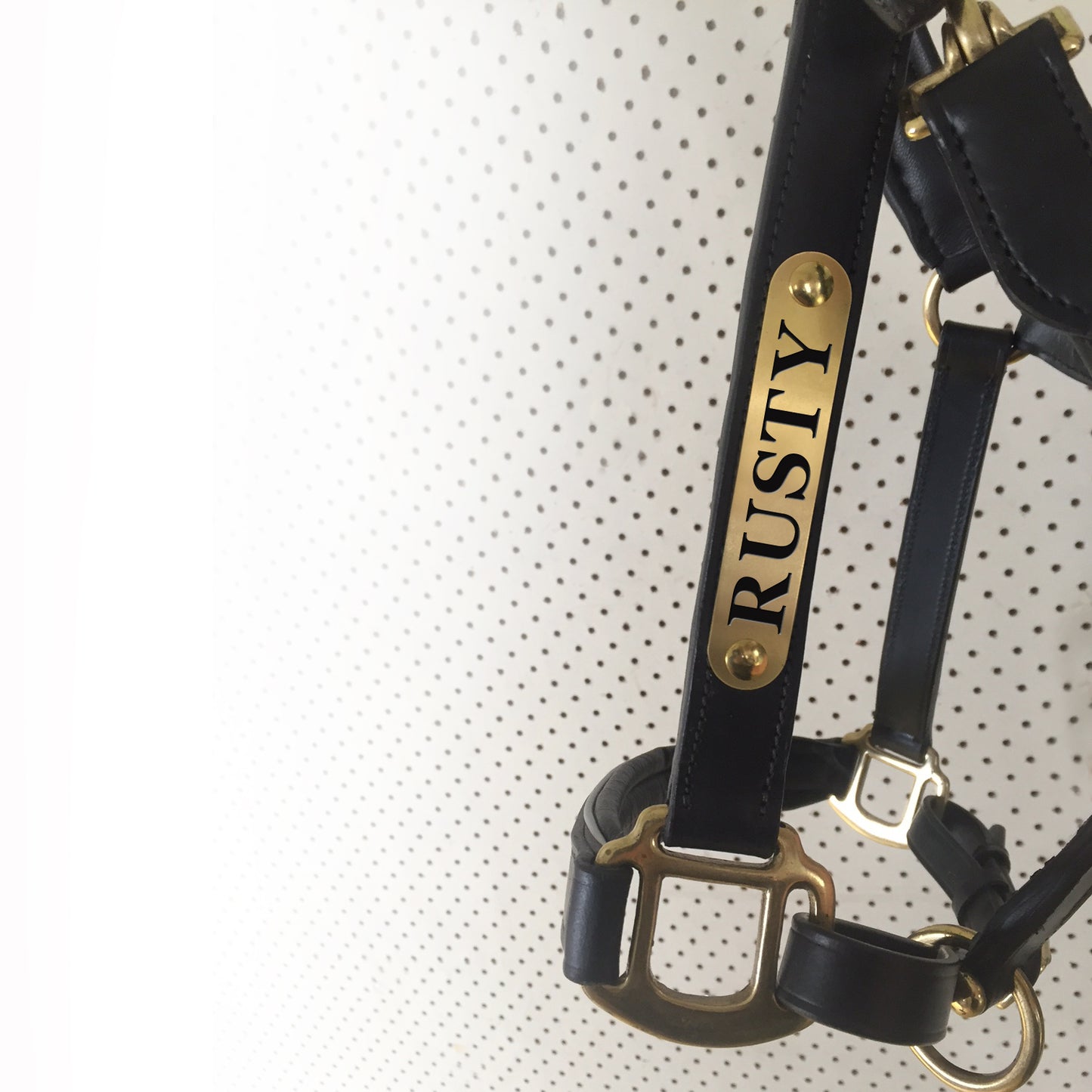 Horse Halter Nameplate