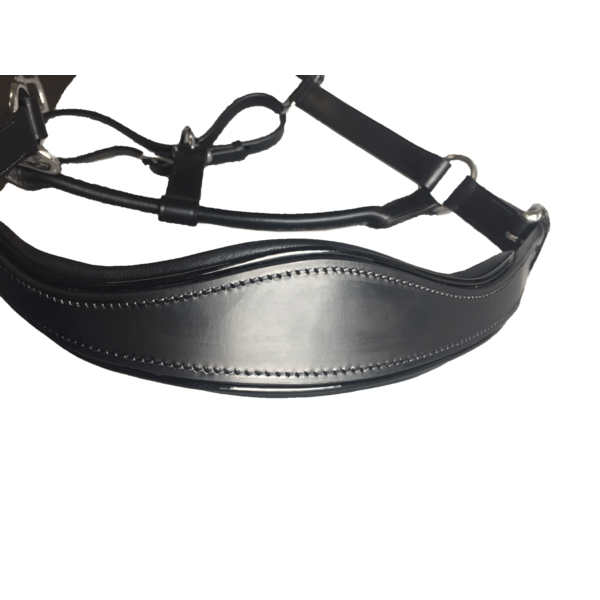 Black Leather Halter - Patent Piping with Engraved Horse Nameplate