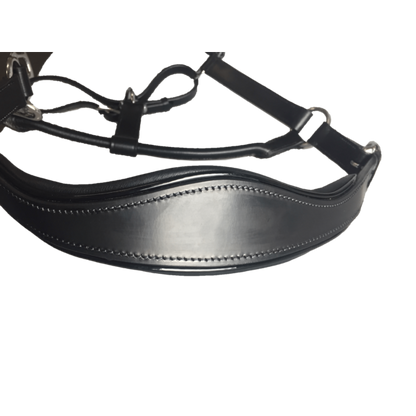 Black Leather Halter - Patent Piping with Engraved Horse Nameplate
