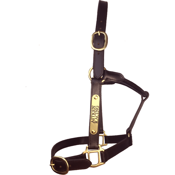 Leather Halter Thoroughbred - Brass Fittings with Engraved Horse Nameplate