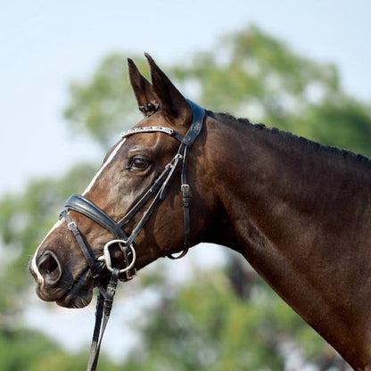 Anastasia Italian Leather Bridle (Convertible) (No reins)