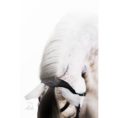 Milan Italian Leather Bridle (Convertible) (No reins)