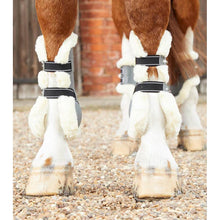 Load image into Gallery viewer, Techno Wool Tendon Boots